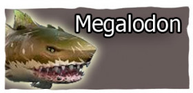 guide_megalodon